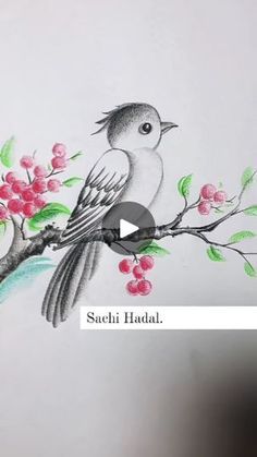 a drawing of a bird on a branch with flowers