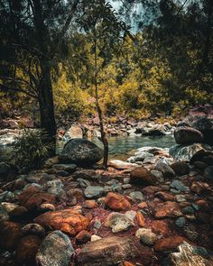 there is a small tree in the middle of some rocks and water with trees around it