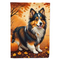 Sheltie Fall Garden Flag Image 1 Fall House Flags, Fall House, Fall Garden Flag, Pumpkin House, Garden Flag Stand, Fall Garden, House Flag, Flag Stand, Flag Decor