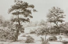 a drawing of trees and water in a wooded area