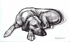 a black and white drawing of a dog laying on it's back with its head down