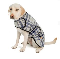 Grey/Blue Plaid Dog Blanket Coat - Le Pet Luxe Blue Plaid Coat, Blue Plaid Blanket, Wool Blanket Coat, Chilly Dogs, Blanket Coat, Designer Dog Clothes, Dog Boutique, Plaid Blanket, Puppy Clothes