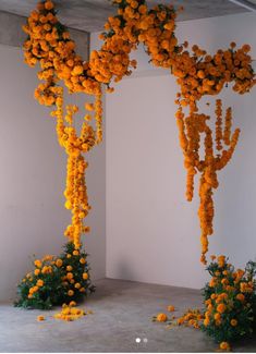 an arrangement of orange flowers hanging from the ceiling in front of a white wall and floor