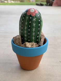 a green cactus in a blue pot with rocks