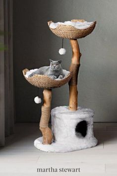 a cat sitting on top of a scratching post