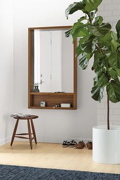 there is a plant and mirror in the room