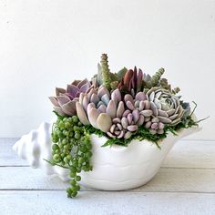 a white bowl filled with lots of succulents