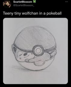 a drawing of a pokemon ball with the caption'tweety tiny wolfhan in a pokeball