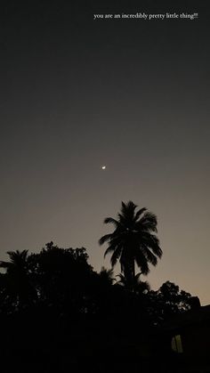 the moon is seen in the sky above some palm trees and a building with a sign that reads, you are an incredibly pretty little thing