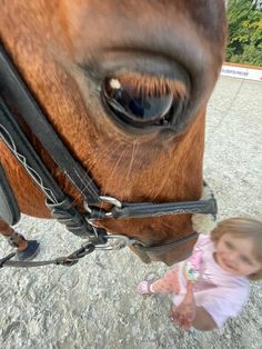 Horse Riding Pictures, Horse Selfie, Draw A Horse, Simple Draw, Horse Ownership, Funny Horse Pictures, Horse Riding Aesthetic, Funny Situations, Show Jumping Horses