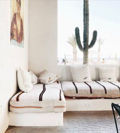 the instagram page shows an image of a couch and cactus in front of a window