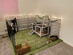 an indoor pet house with lights on the roof and grass in the floor, along with two dogs