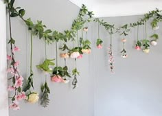 some pink flowers hanging from the side of a wall