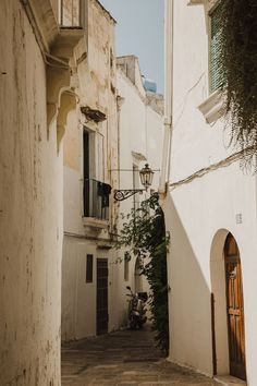 an alley way with white buildings and vines growing on the side