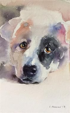 a watercolor painting of a dog's face