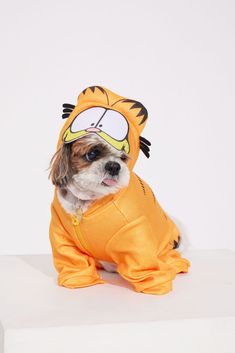 a small dog dressed up as a tiger sitting on top of a white surface wearing a costume