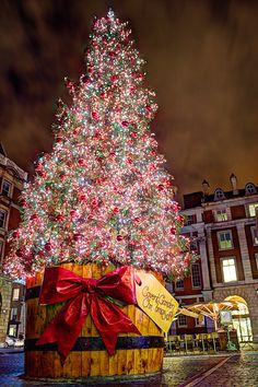 a large christmas tree is lit up at night