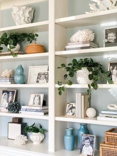 the shelves are filled with different types of vases and pictures on them, including plants