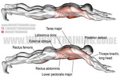 an image of a man's lower body muscles and their corresponding parts labeled in red