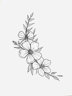 a black and white drawing of some flowers