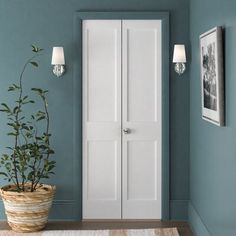 a white door is next to a potted plant in a blue room with two pictures on the wall