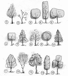 the different types of trees and how to draw them in pencil on paper with markers