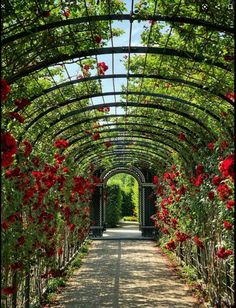 the walkway is lined with red flowers and greenery on both sides, leading to an archway