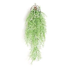 a green plant hanging from the side of a wall with white flowers on it's stems