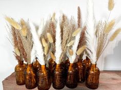 there are many brown vases with feathers in them