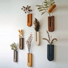 several vases with plants in them hanging on the wall