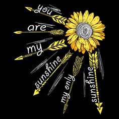 a sunflower with arrows and the words you are my sunshine written in white on a black background