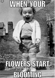 a poster with an image of a baby crying and the caption says, when your flowers start blooming