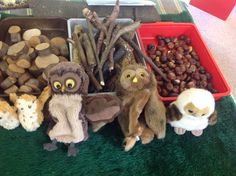 there are many stuffed animals in the bins on the table with rocks and logs