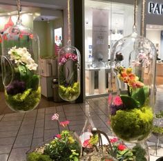 there are several glass vases with flowers inside of them on display in the store