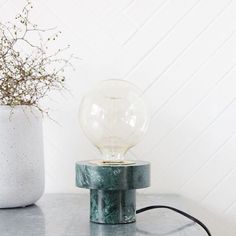 a light bulb sitting on top of a table next to a potted plant