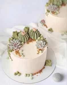 two white cakes decorated with succulents and flowers