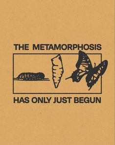 the metamorphosis has only just begun poster with butterfly and caterpillar