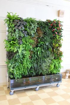 a living wall with plants growing on it's sides, in a room that has checkered flooring