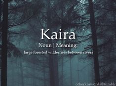 there is a book cover with trees and fog in the background that reads karra