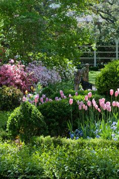 a garden filled with lots of different types of flowers