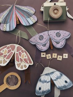 several different types of moths are hanging on a table with words spelled out in small letters