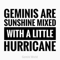 the words gemini is a secret manipuator they always get their own way without