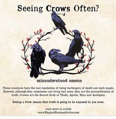 a poster with four crows sitting on top of a tree branch and the caption reads seeing crows often