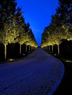 a road lined with trees and lights in the middle of it's sides at night