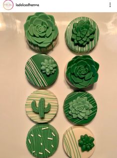 cupcakes decorated with green frosting and succulent designs