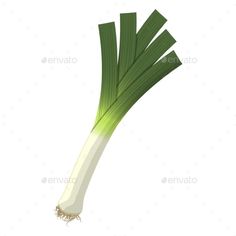 a green onion on a white background - food objects