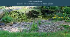 the pond is surrounded by rocks and plants with text overlay that reads how to put a pond liner over the old step by step guide