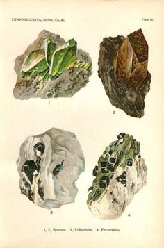 four different types of rocks are shown in this old book