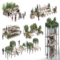 several different types of trees and people in various stages of development, including the tree house