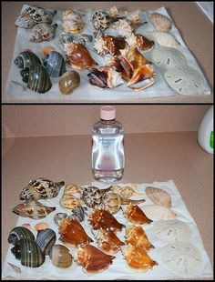 two pictures of seashells and shells on a towel next to a bottle of water